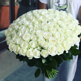 101 Белая Роза