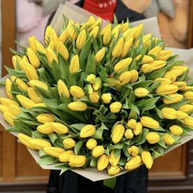 Желтые тюльпаны
