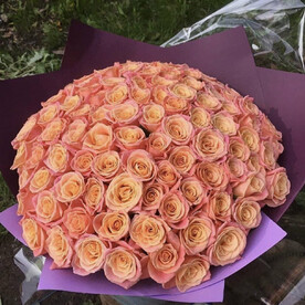 101 Роза Мисс Пигги