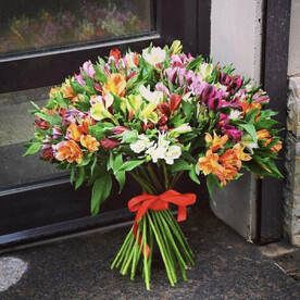 51 Альстромерия