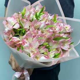 Букет из Альстромерии «Нежность»