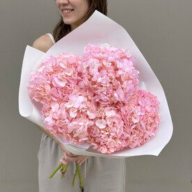 Нежный розовый букет гортензий