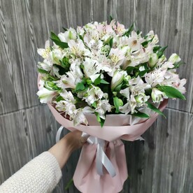 Букет из 19 белых альстромерий