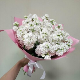 Букет из 19 белых матиол