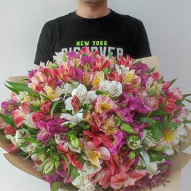 Букет из 51 альстромерий микс