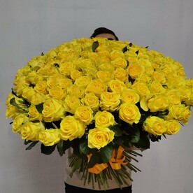 Букет из 151 желтой розы