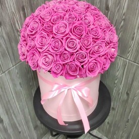 75 розовых роз в шляпной коробке