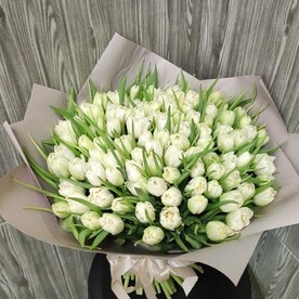 Букет из 101 Белого пионовидного тюльпана
