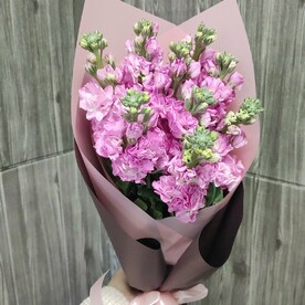 Букет из 9 розовых маттиол