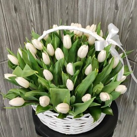 49 белых тюльпанов в корзине