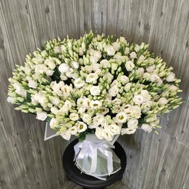 Букет из 101 белой эустомы