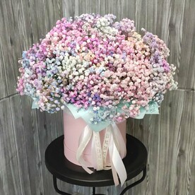 25 радужных гипсофил в шляпной коробке