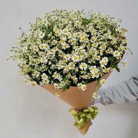 Букет из 25 кустовых ромашек