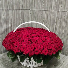 Корзина из 301 розы