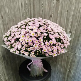 Букет из 49 сиреневых кустовых хризантем