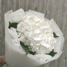 Букет из белой гортензии