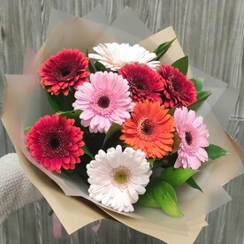 Бекет из 9 Гербер микс