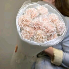 Моно букет диантусов