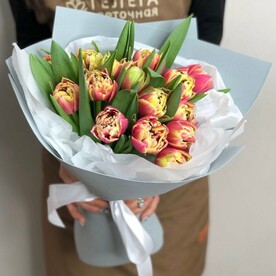 15 пионовидных тюльпанов