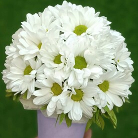 Комплимент в стаканчике