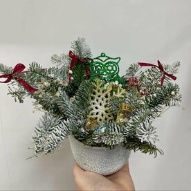 Новогодняя композиция из нобилиса