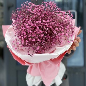 Букет розовых гипсофил