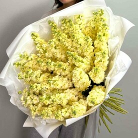 Букет маттиол