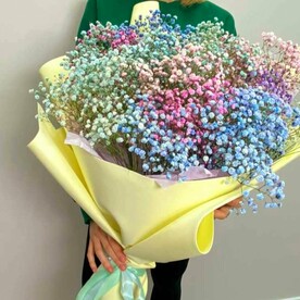 Букет разноцветных гипсофил