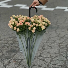 Букет роз в зонтике