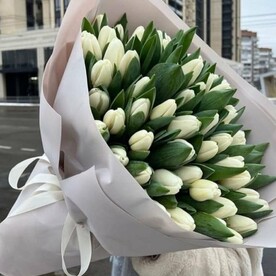Большой букет белых тюльпанов