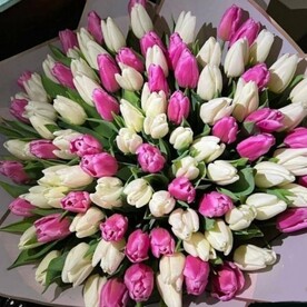 Букет «151 тюльпан»