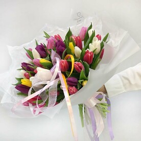 31 разноцветный тюльпан