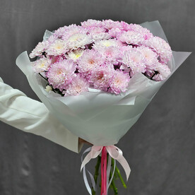 Букет розовых хризантем в упаковке