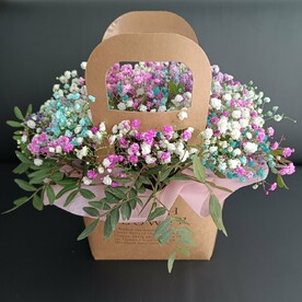 Гипсофилки