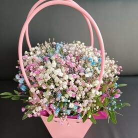 Сумочка с гипсофилой