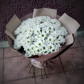 Ромашковое облако