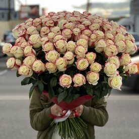 101 эквадорская роза