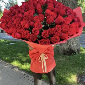 101 красная роза