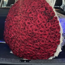 Огромный букет красных роз