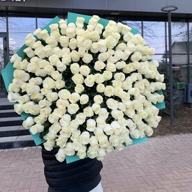 Долгожданное счастье