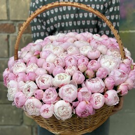 101 пион в корзине