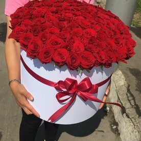 101 Роза бордовая в коробке