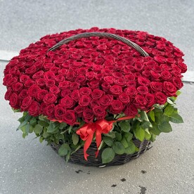 Бордовая роза в корзине