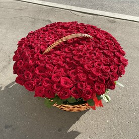 251 бордовая роза в корзине