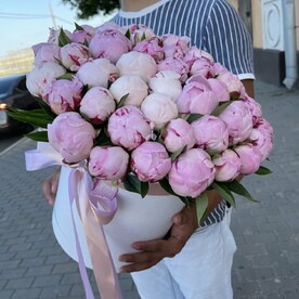 Пион нежный в коробке