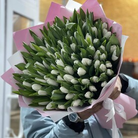 Белые тюльпаны