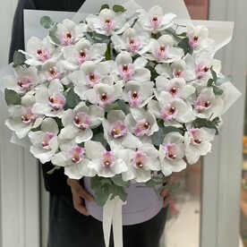 Белая орхидея в коробке