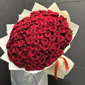 101 Роза бордовая