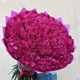 Роза Эквадор Pink Floyd