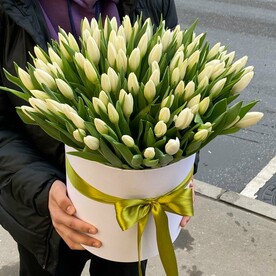 Белые тюльпаны